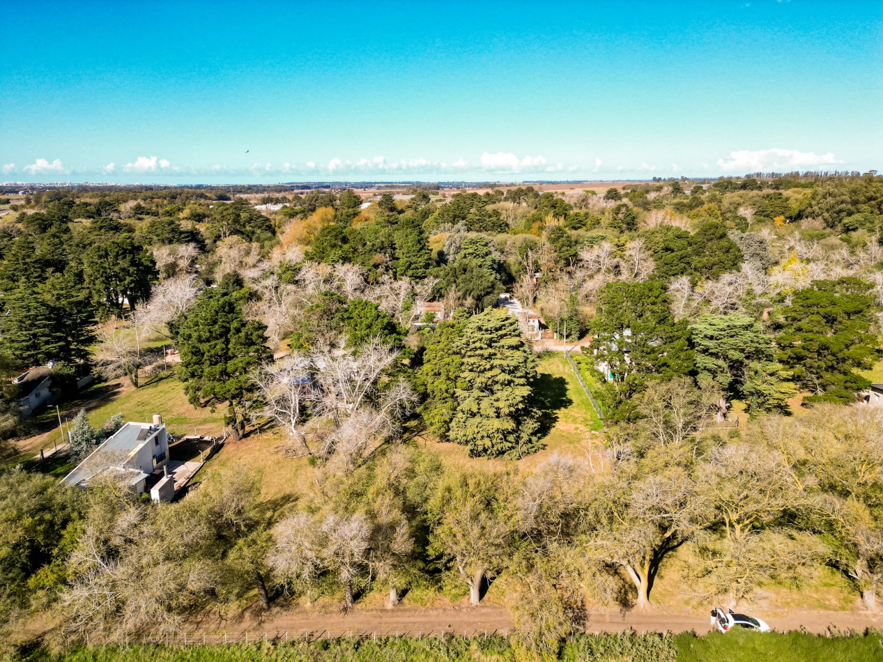 LOTE 740M2  BARRIO COLINALEGRE RUTA 88 KM 9 Y MEDIO 