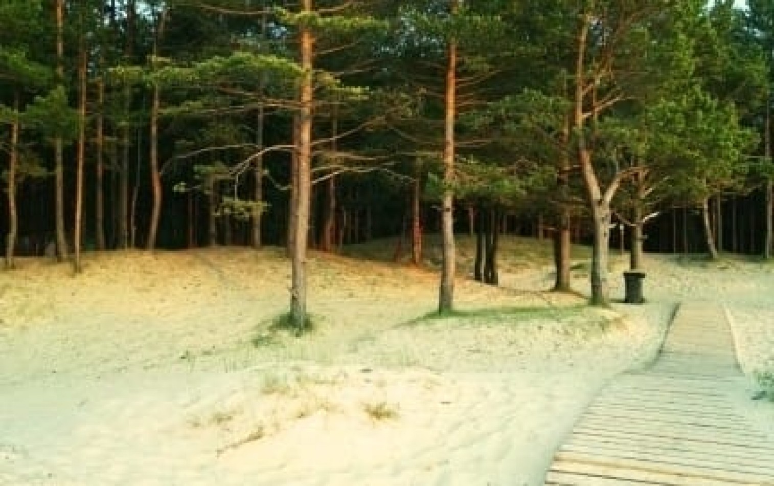 CASA 7 AMBIENTES PINAMAR NORTE 