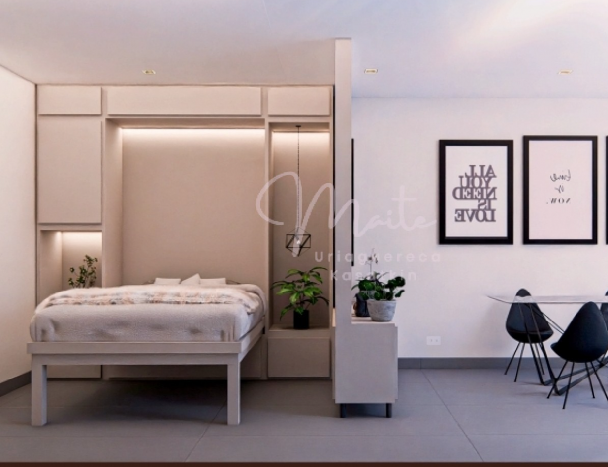 DEPARTAMENTO EN POZO 1 AMBIENTE ALMA 1 FRENTE CON BALCON PLAZA MITRE DICIEMBRE 2027
