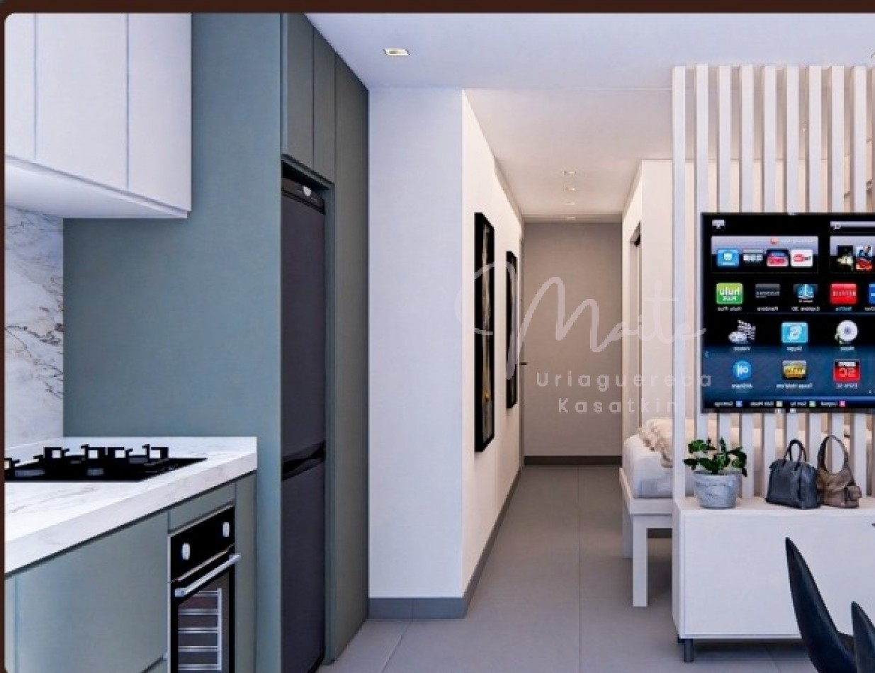 DEPARTAMENTO EN POZO 1 AMBIENTE ALMA 1 FRENTE CON BALCON PLAZA MITRE DICIEMBRE 2027