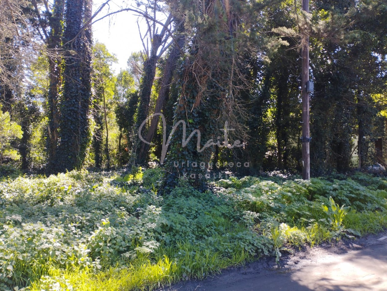 VENTA DOS LOTES CONTIGUOS BOSQUE PERALTA RAMOS 950M2 