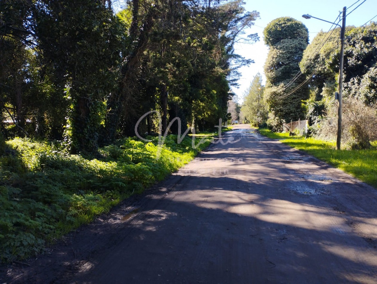 VENTA DOS LOTES CONTIGUOS BOSQUE PERALTA RAMOS 950M2 