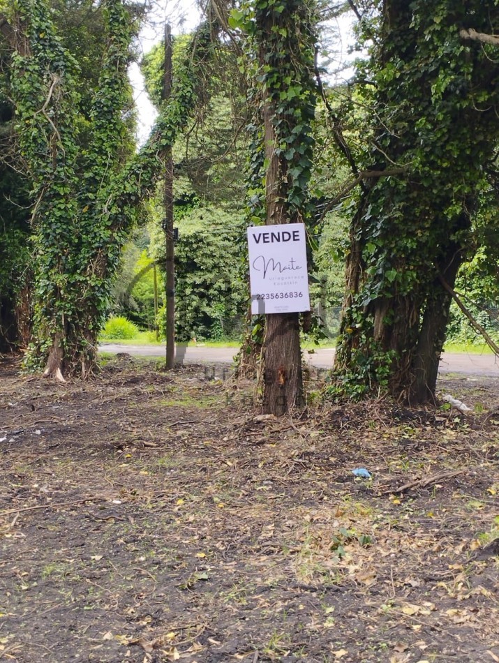 VENTA DOS LOTES CONTIGUOS BOSQUE PERALTA RAMOS 950M2 