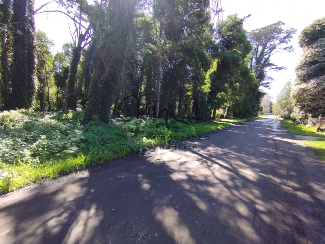 VENTA DOS LOTES CONTIGUOS BOSQUE PERALTA RAMOS 950M2 