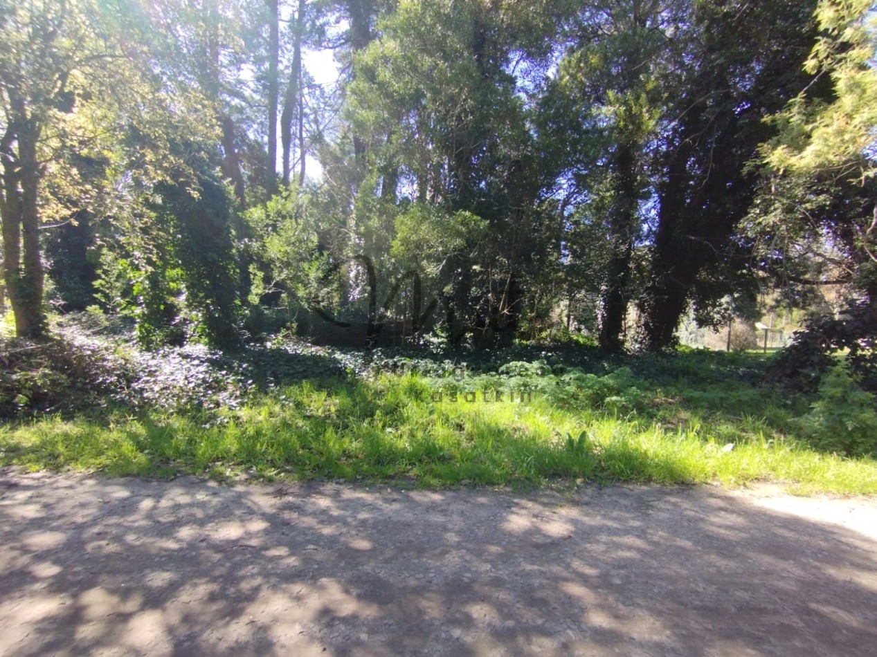 VENTA DOS LOTES CONTIGUOS BOSQUE PERALTA RAMOS 950M2 