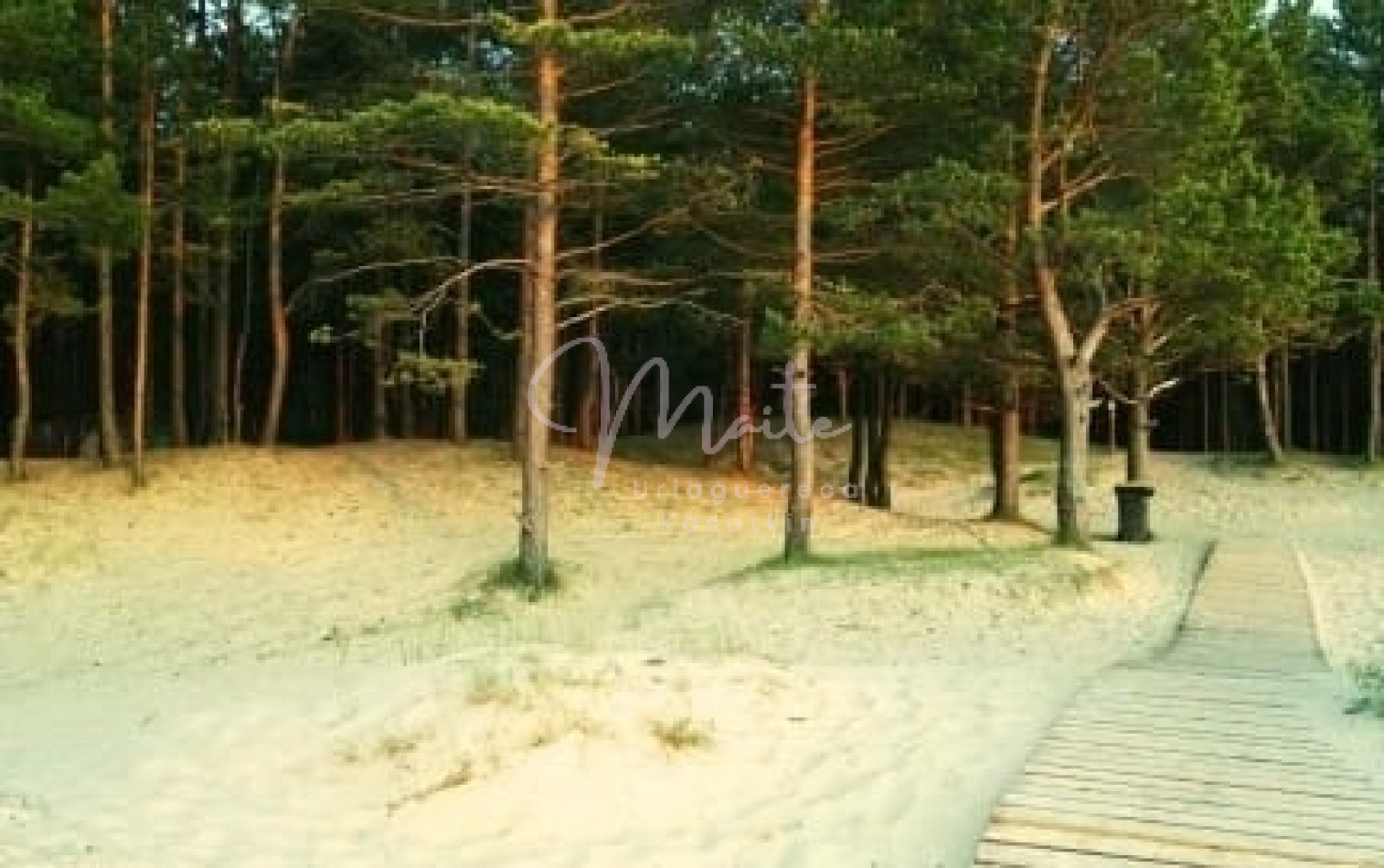 CASA 7 AMBIENTES PINAMAR NORTE 