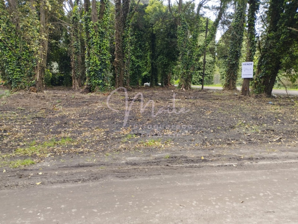 VENTA DOS LOTES CONTIGUOS BOSQUE PERALTA RAMOS 950M2 