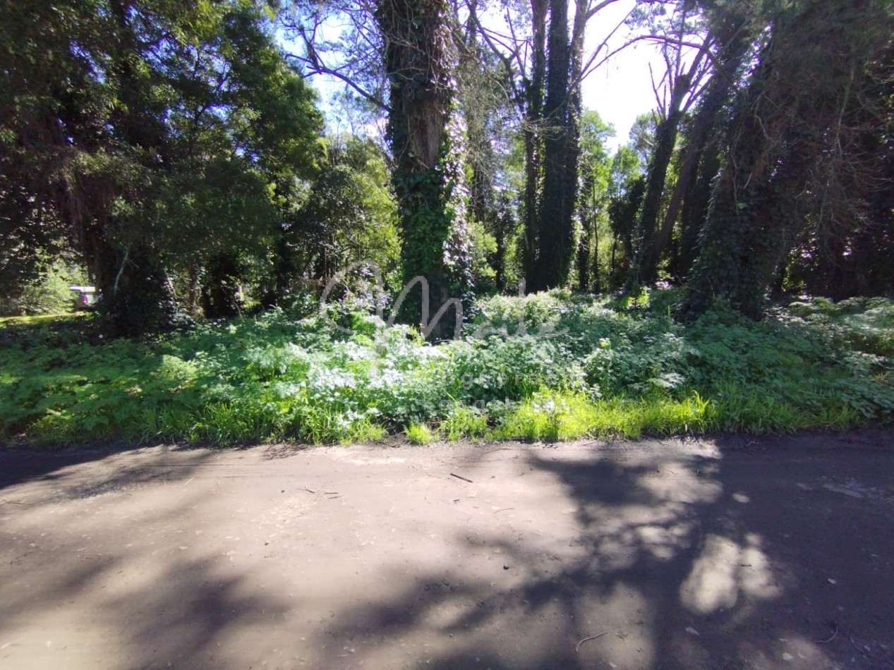 VENTA DOS LOTES CONTIGUOS BOSQUE PERALTA RAMOS 950M2 