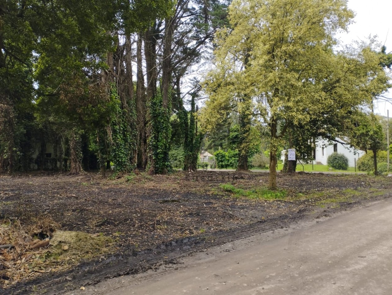 VENTA DOS LOTES CONTIGUOS BOSQUE PERALTA RAMOS 950M2 