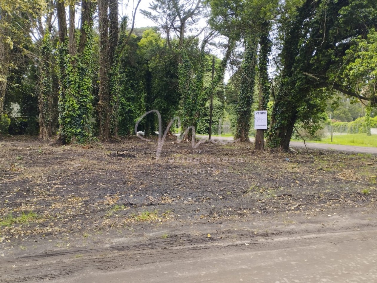 VENTA DOS LOTES CONTIGUOS BOSQUE PERALTA RAMOS 950M2 