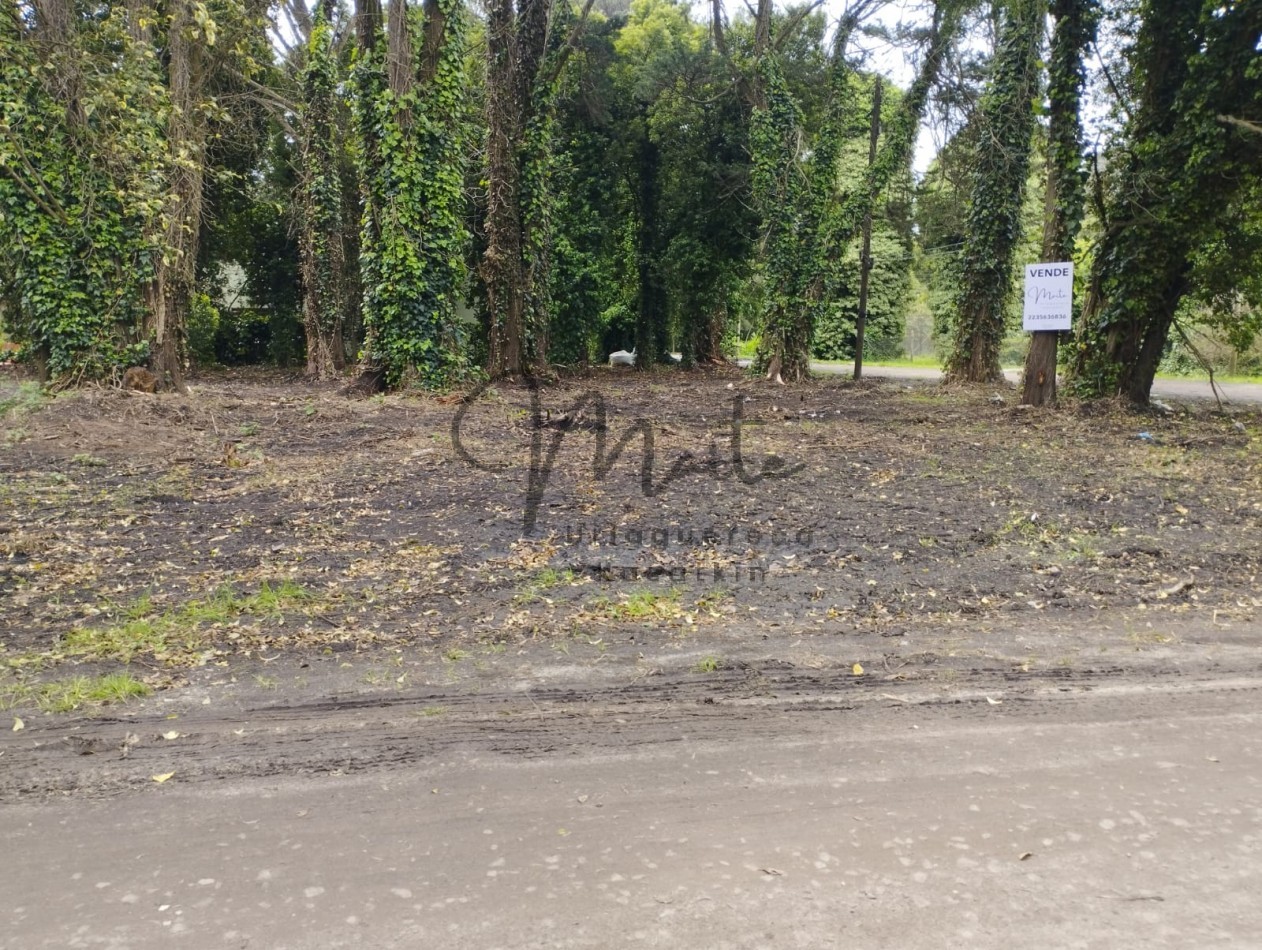 VENTA DOS LOTES CONTIGUOS BOSQUE PERALTA RAMOS 950M2 