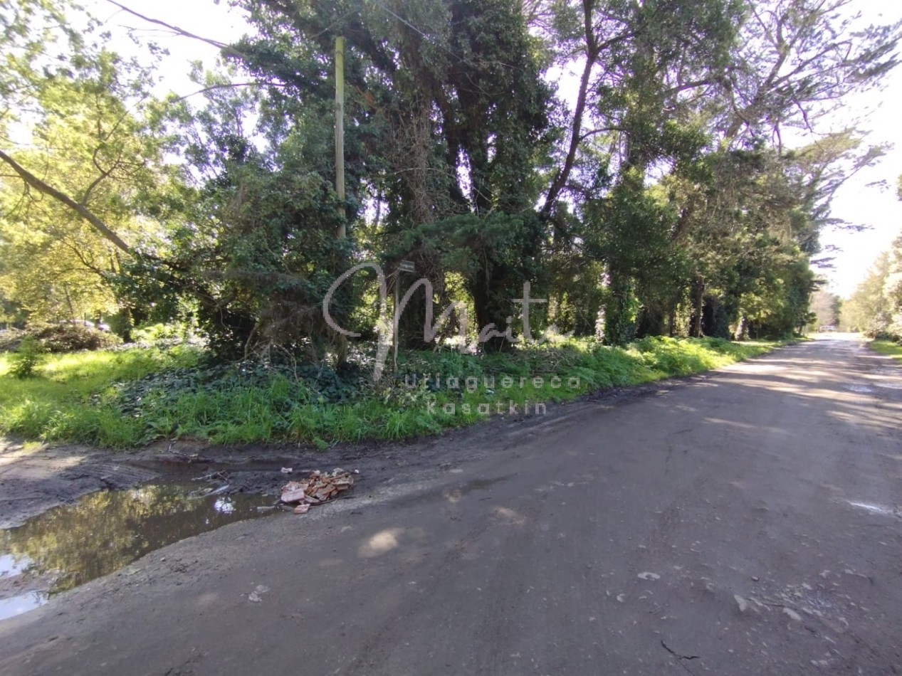 VENTA DOS LOTES CONTIGUOS BOSQUE PERALTA RAMOS 950M2 