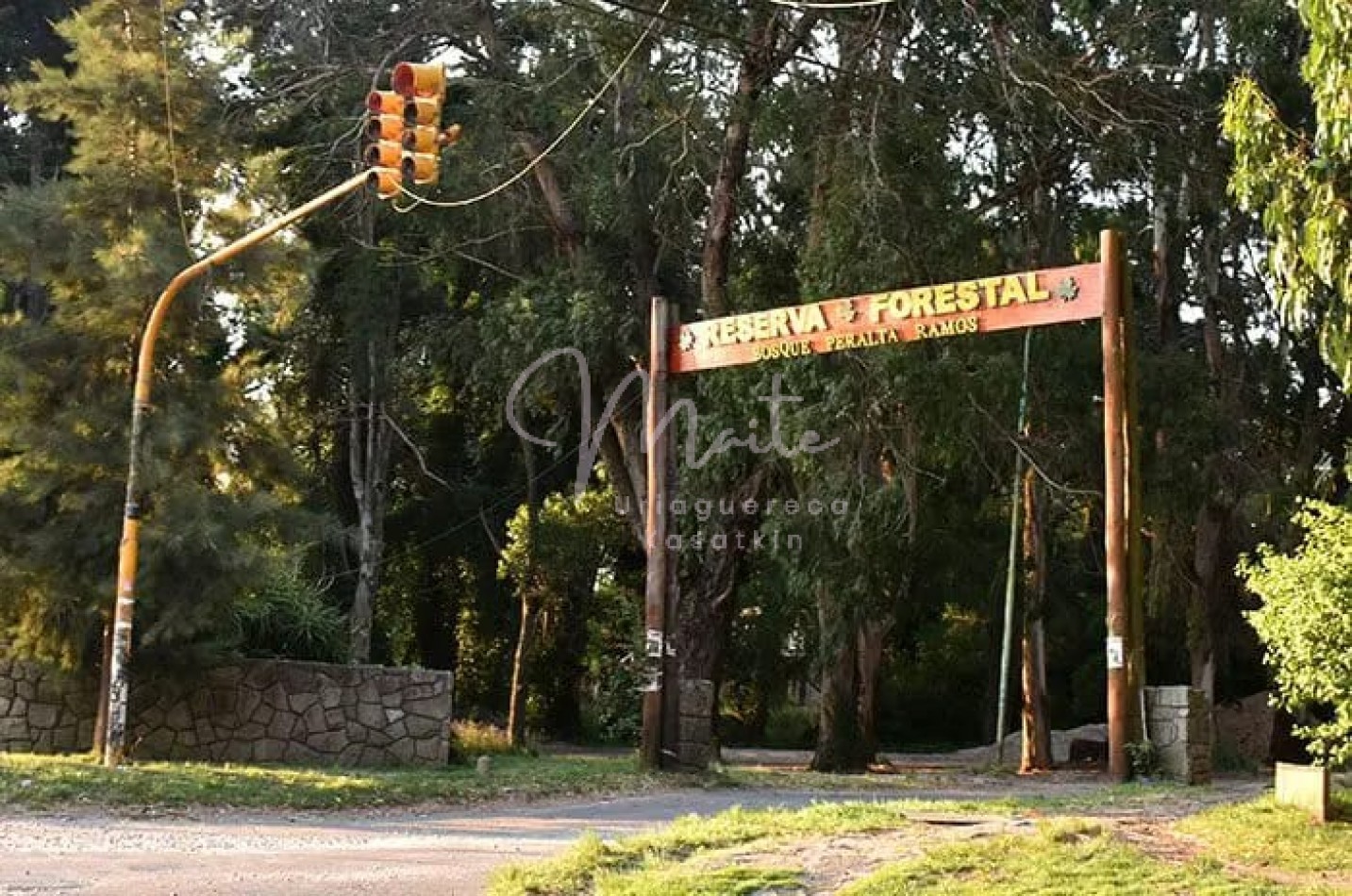 VENTA DOS LOTES CONTIGUOS BOSQUE PERALTA RAMOS 950M2 