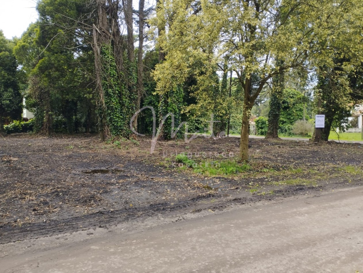 VENTA DOS LOTES CONTIGUOS BOSQUE PERALTA RAMOS 950M2 