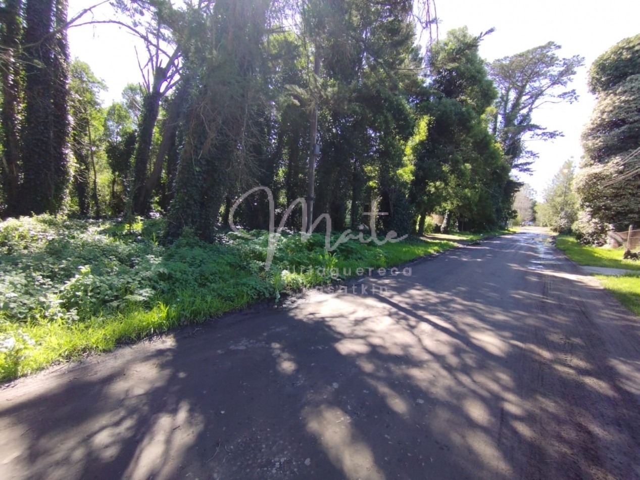 VENTA DOS LOTES CONTIGUOS BOSQUE PERALTA RAMOS 950M2 