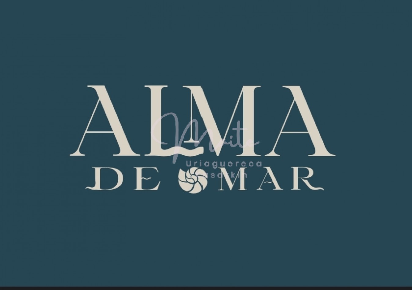 DEPARTAMENTO EN POZO 1 AMBIENTE ALMA 1 FRENTE CON BALCON PLAZA MITRE 2027DICIEMBRE