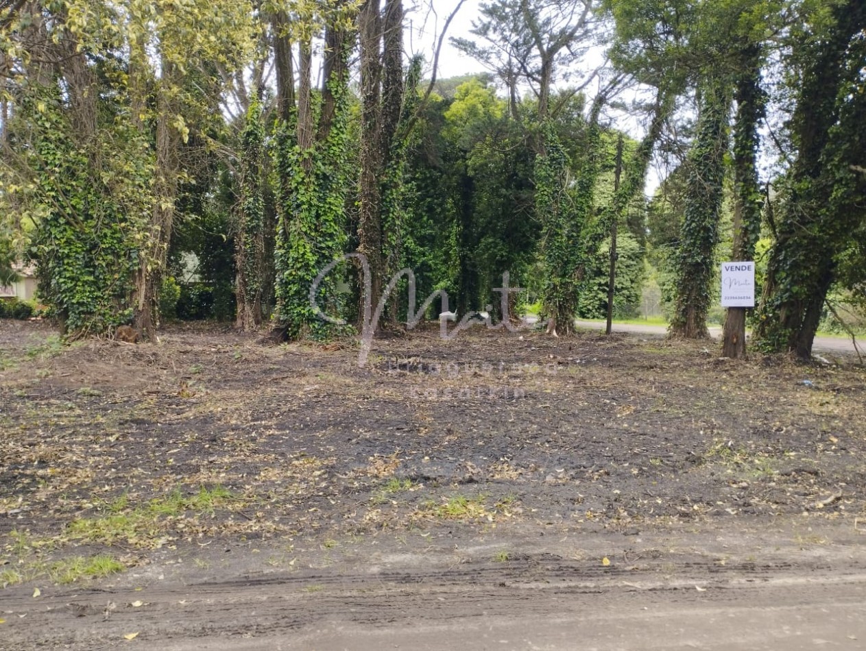 VENTA DOS LOTES CONTIGUOS BOSQUE PERALTA RAMOS 950M2 