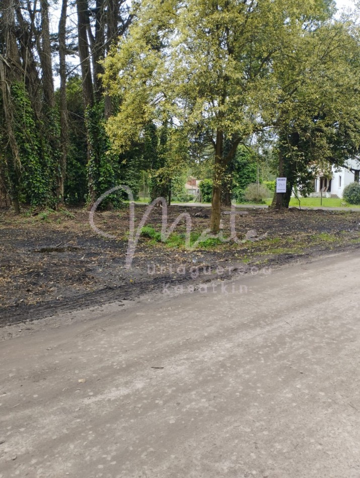 VENTA DOS LOTES CONTIGUOS BOSQUE PERALTA RAMOS 950M2 