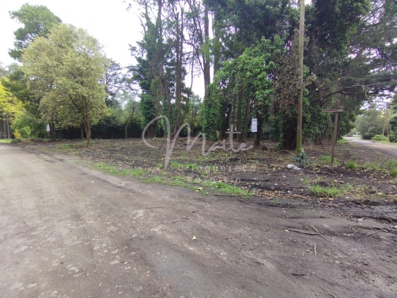 VENTA DOS LOTES CONTIGUOS BOSQUE PERALTA RAMOS 950M2 