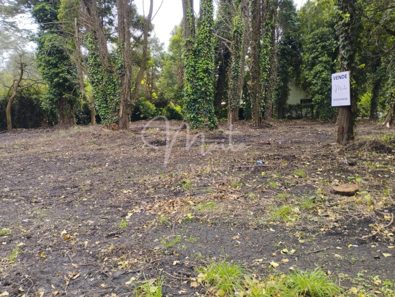 VENTA DOS LOTES CONTIGUOS BOSQUE PERALTA RAMOS 950M2 