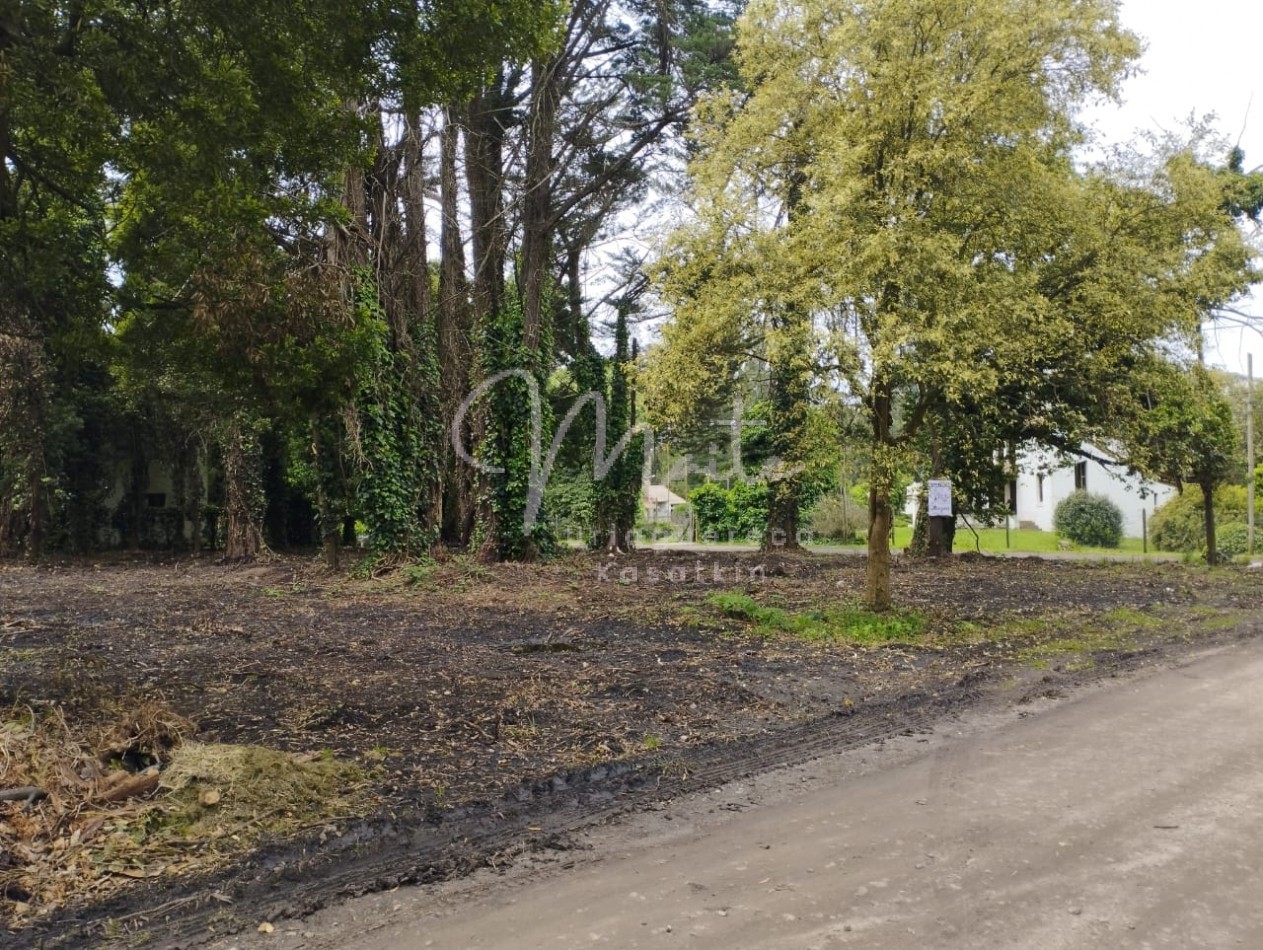 VENTA DOS LOTES CONTIGUOS BOSQUE PERALTA RAMOS 950M2 