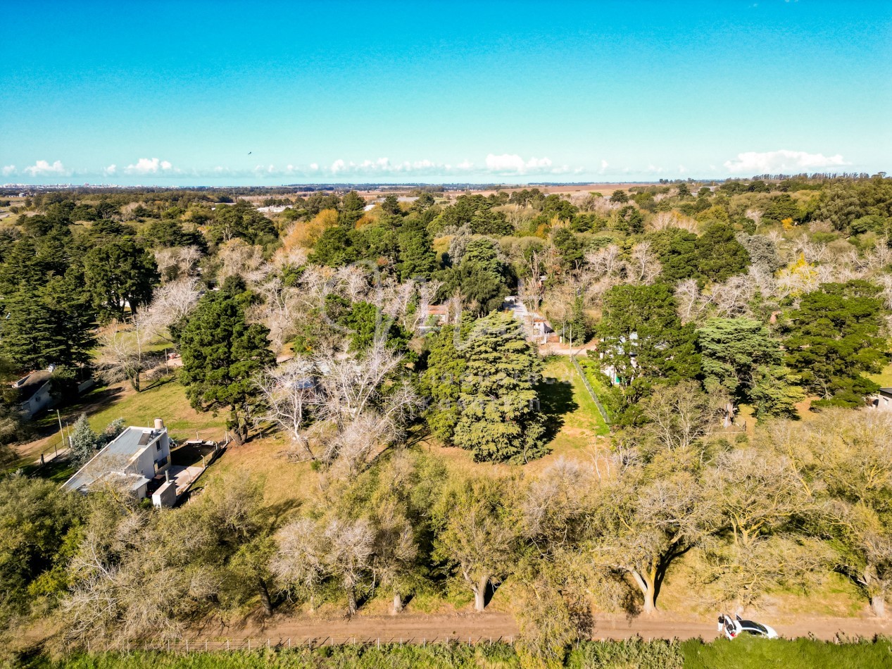 LOTE 608M2  BARRIO COLINALEGRE RUTA 88 KM 9 Y MEDIO ESQUINA EL CARPINTERO Y LA GAVIOTA 