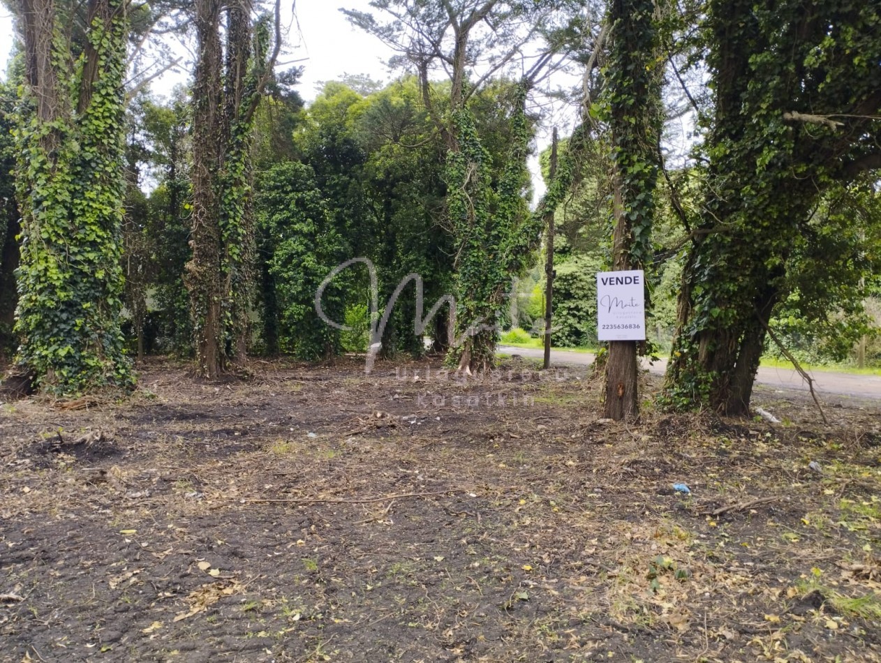 VENTA DOS LOTES CONTIGUOS BOSQUE PERALTA RAMOS 950M2 