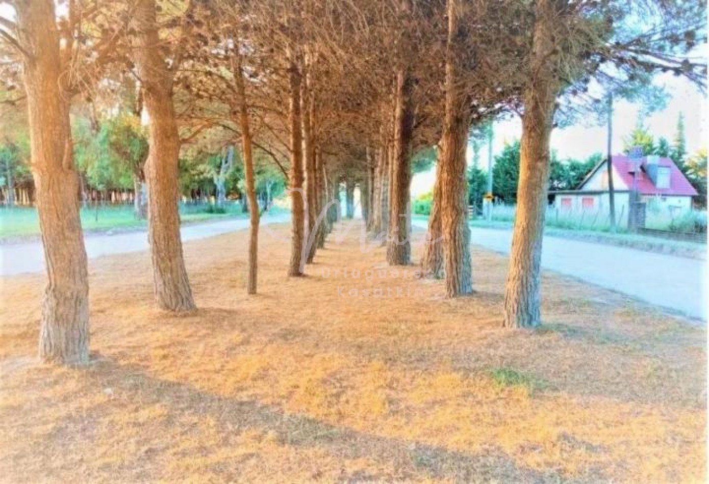 LOTE BALNEARIO RETA TRES ARROYOS 1122 M2 