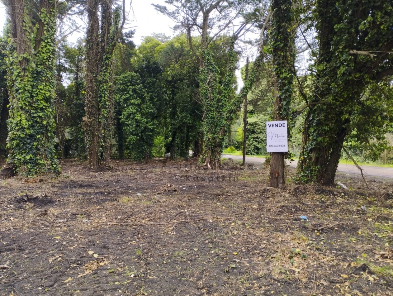 VENTA DOS LOTES CONTIGUOS BOSQUE PERALTA RAMOS 950M2 