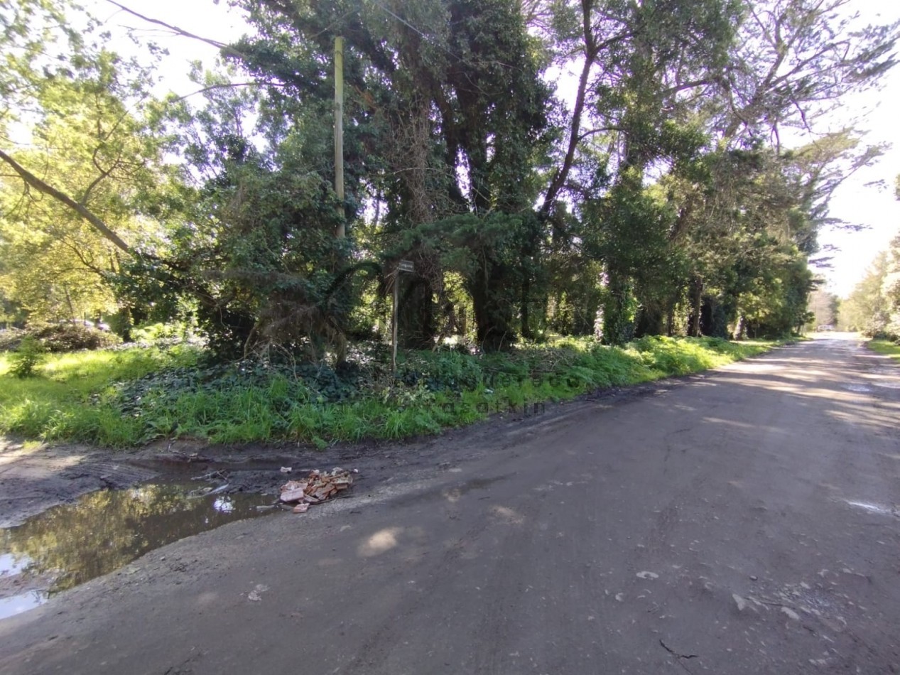 VENTA DOS LOTES CONTIGUOS BOSQUE PERALTA RAMOS 950M2 