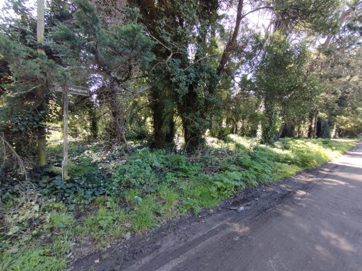 VENTA DOS LOTES CONTIGUOS BOSQUE PERALTA RAMOS 950M2 