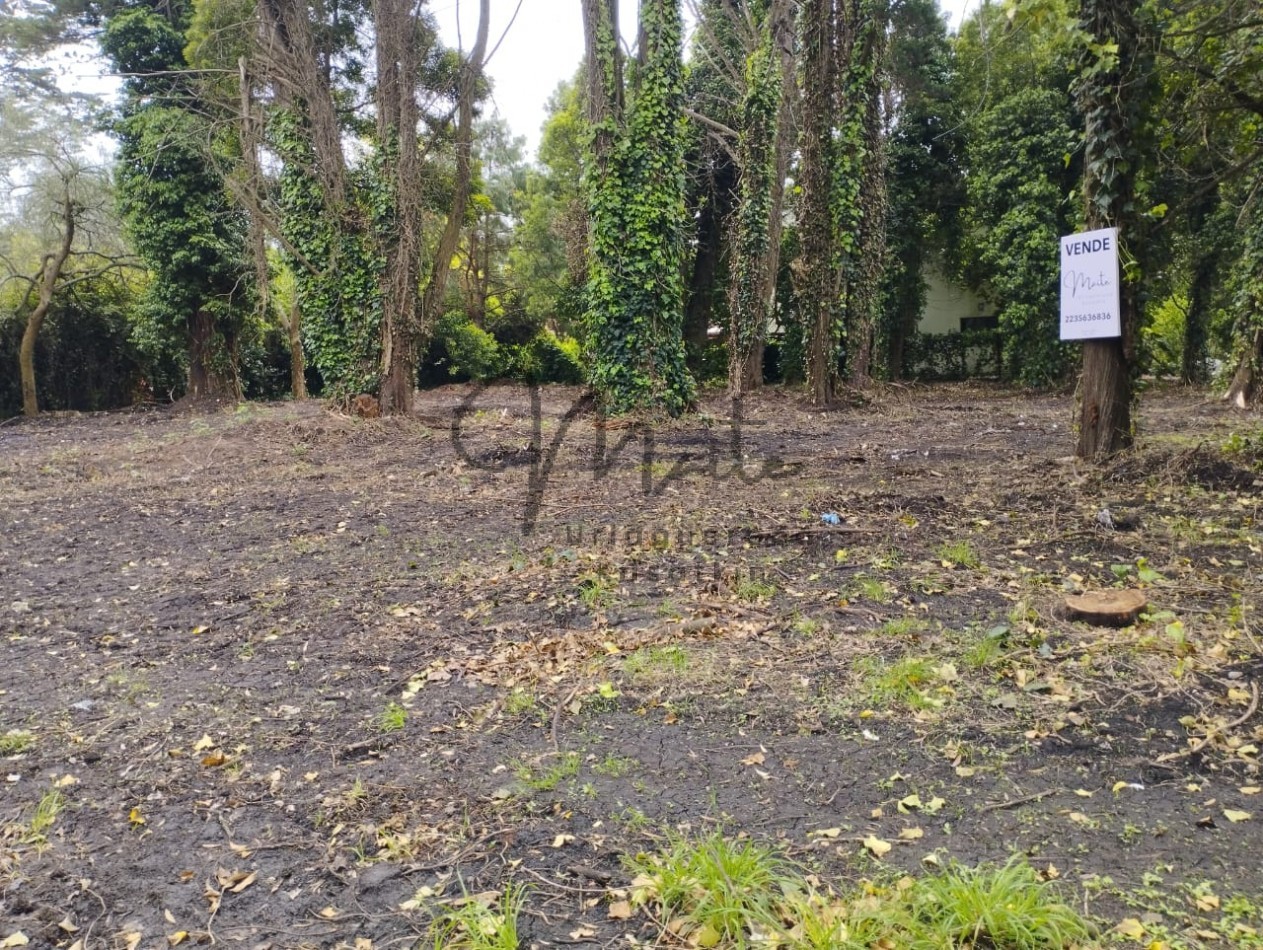 VENTA DOS LOTES CONTIGUOS BOSQUE PERALTA RAMOS 950M2 