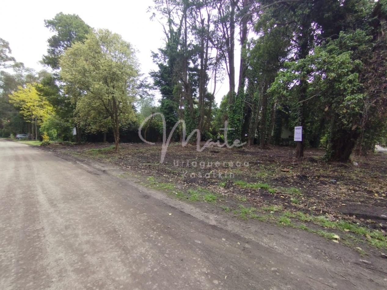 VENTA DOS LOTES CONTIGUOS BOSQUE PERALTA RAMOS 950M2 