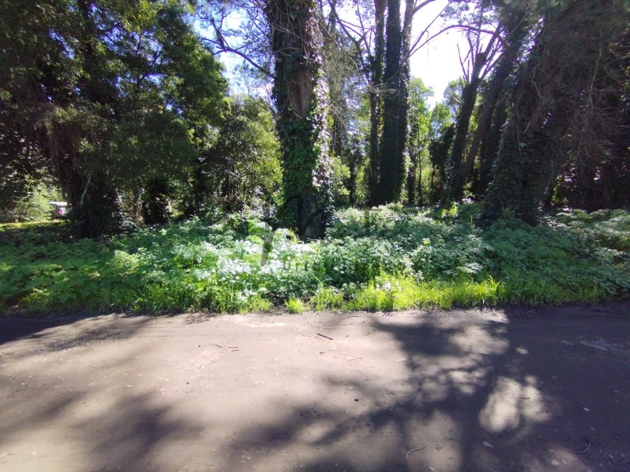 VENTA DOS LOTES CONTIGUOS BOSQUE PERALTA RAMOS 950M2 