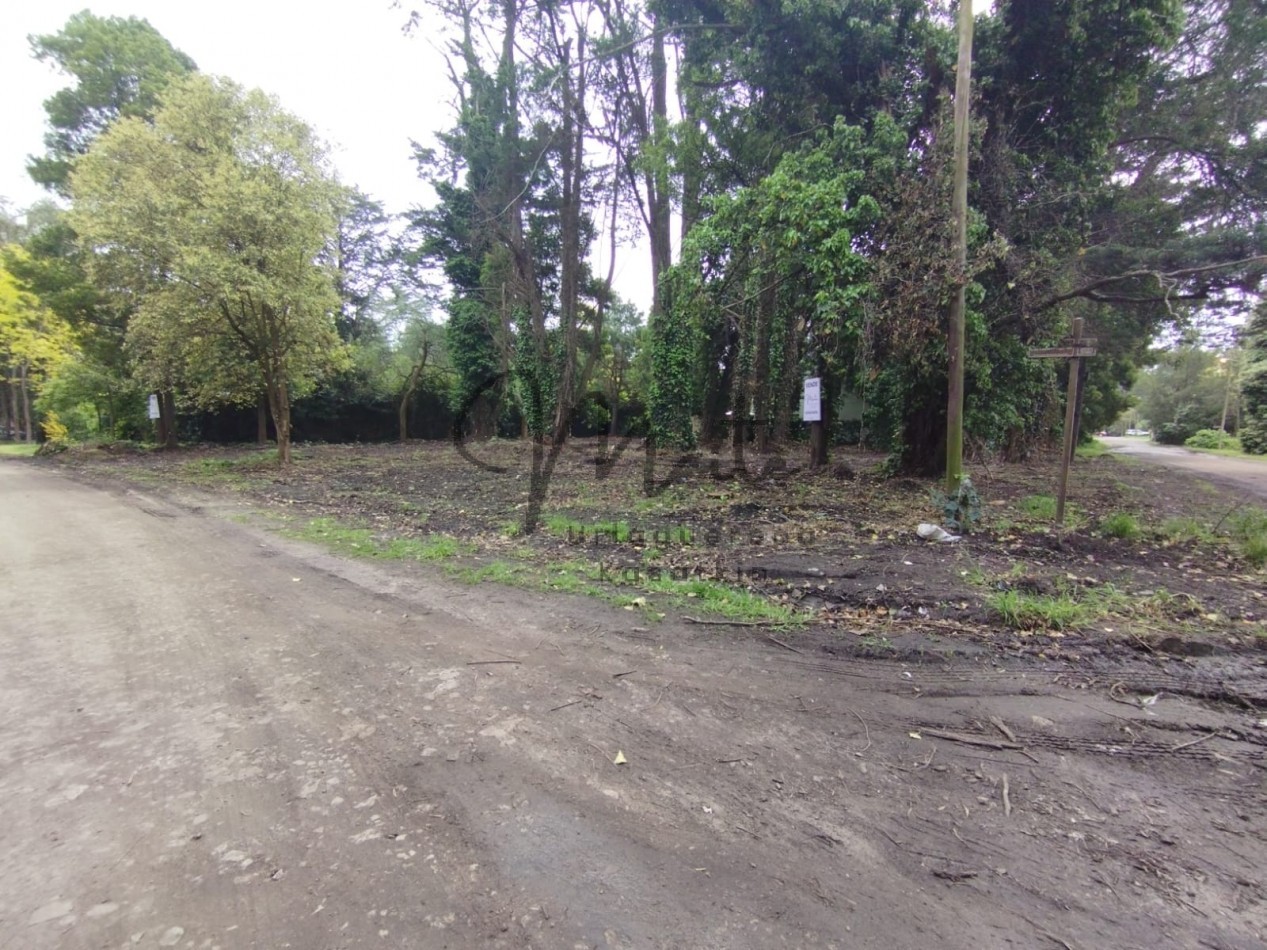 VENTA DOS LOTES CONTIGUOS BOSQUE PERALTA RAMOS 950M2 