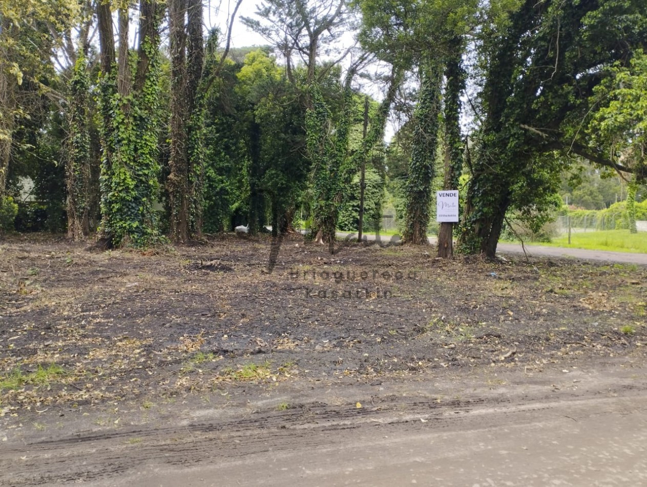 VENTA DOS LOTES CONTIGUOS BOSQUE PERALTA RAMOS 950M2 