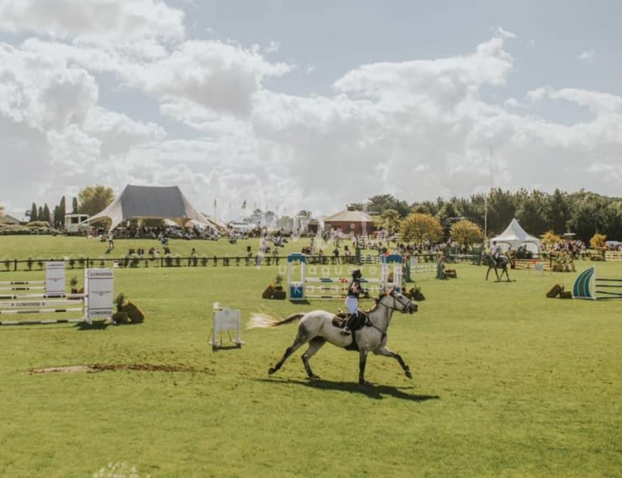 Lote "Casonas del Haras" Casuarina 38 Acantilados Mar del Plata 