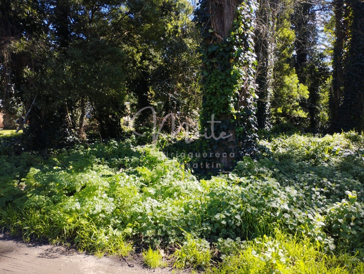 VENTA DOS LOTES CONTIGUOS BOSQUE PERALTA RAMOS 950M2 