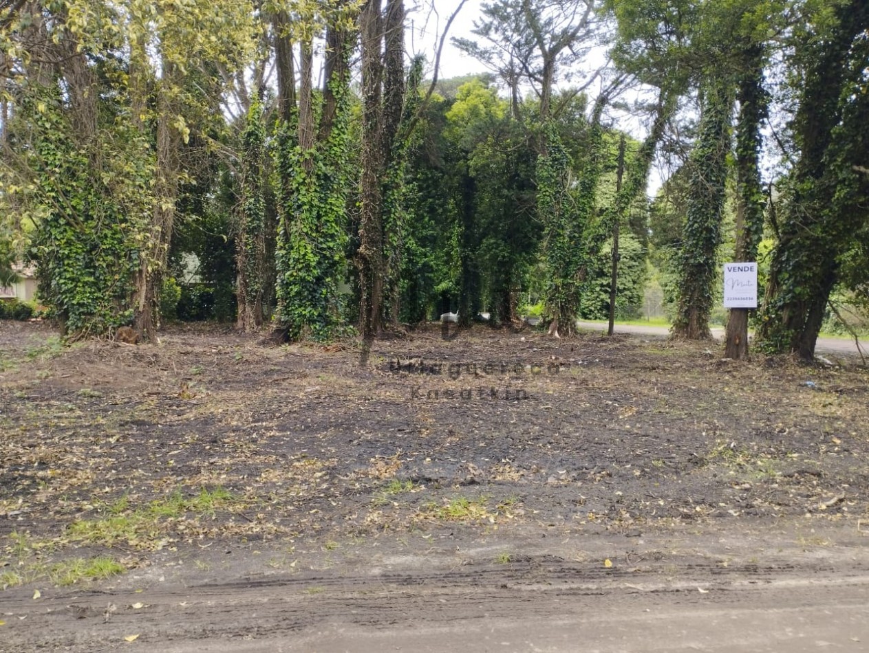 VENTA DOS LOTES CONTIGUOS BOSQUE PERALTA RAMOS 950M2 