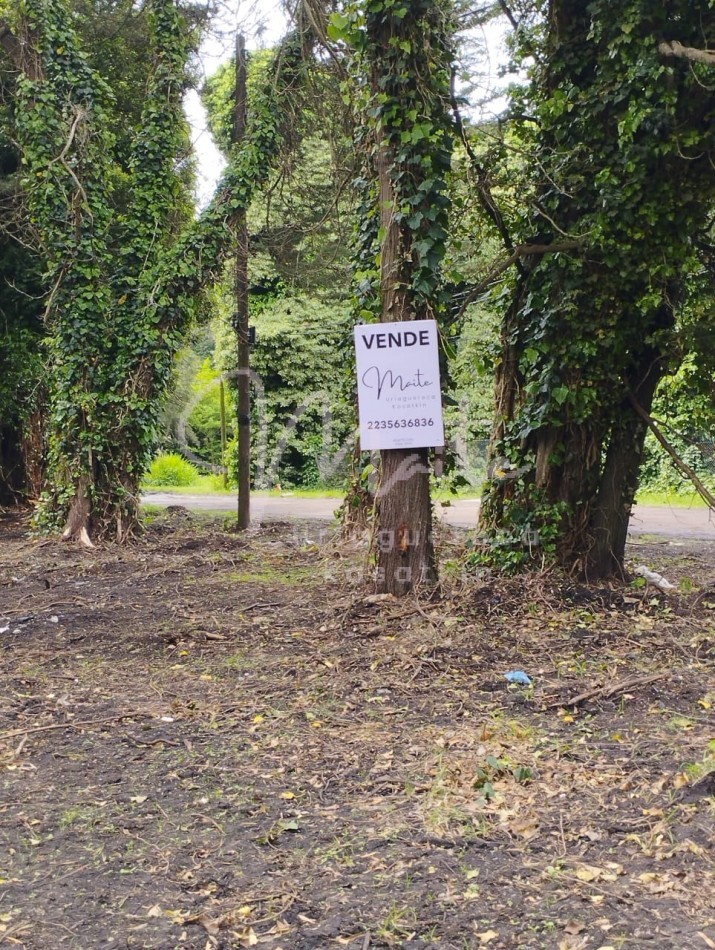 VENTA DOS LOTES CONTIGUOS BOSQUE PERALTA RAMOS 950M2 