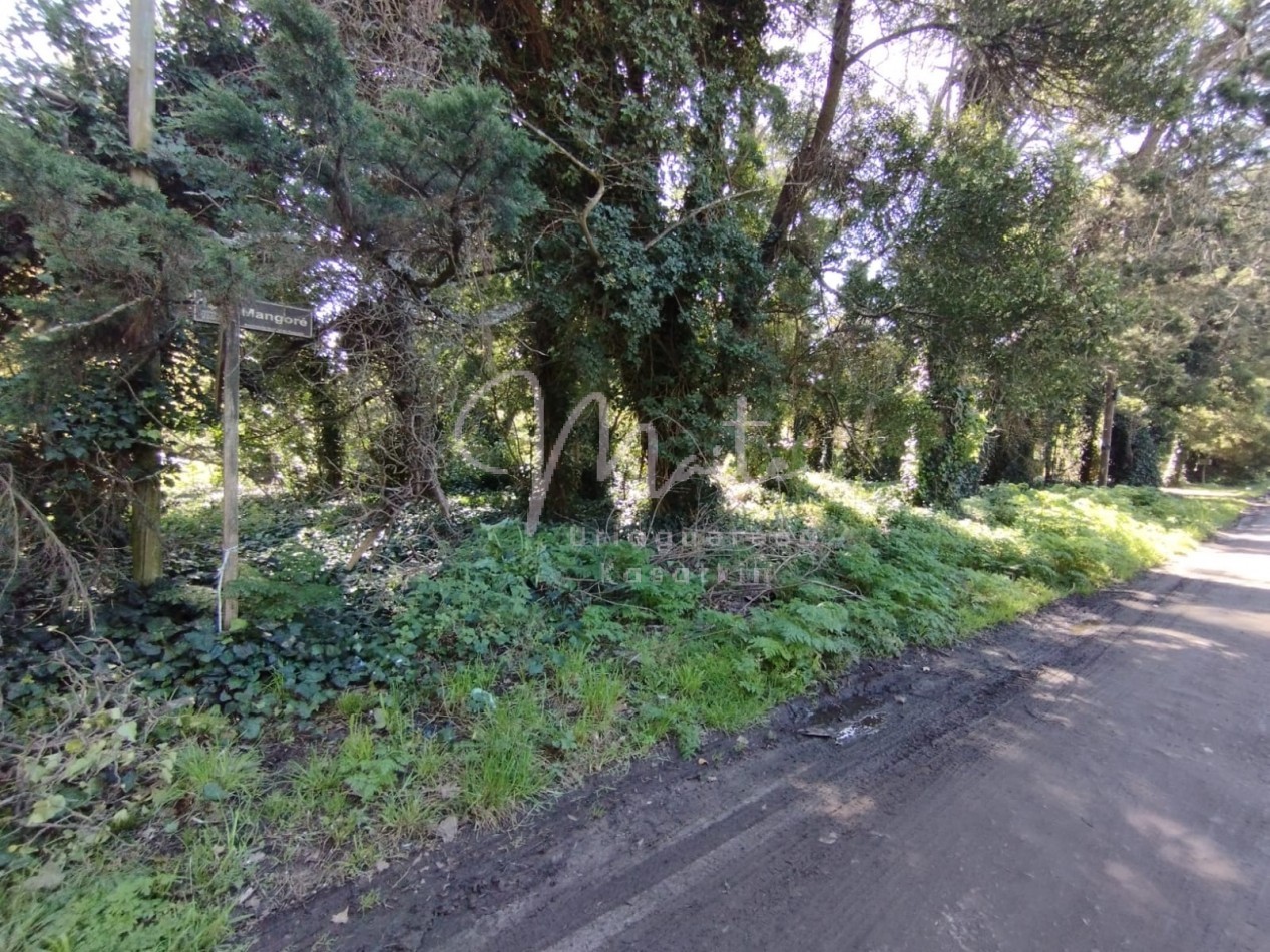 VENTA DOS LOTES CONTIGUOS BOSQUE PERALTA RAMOS 950M2 