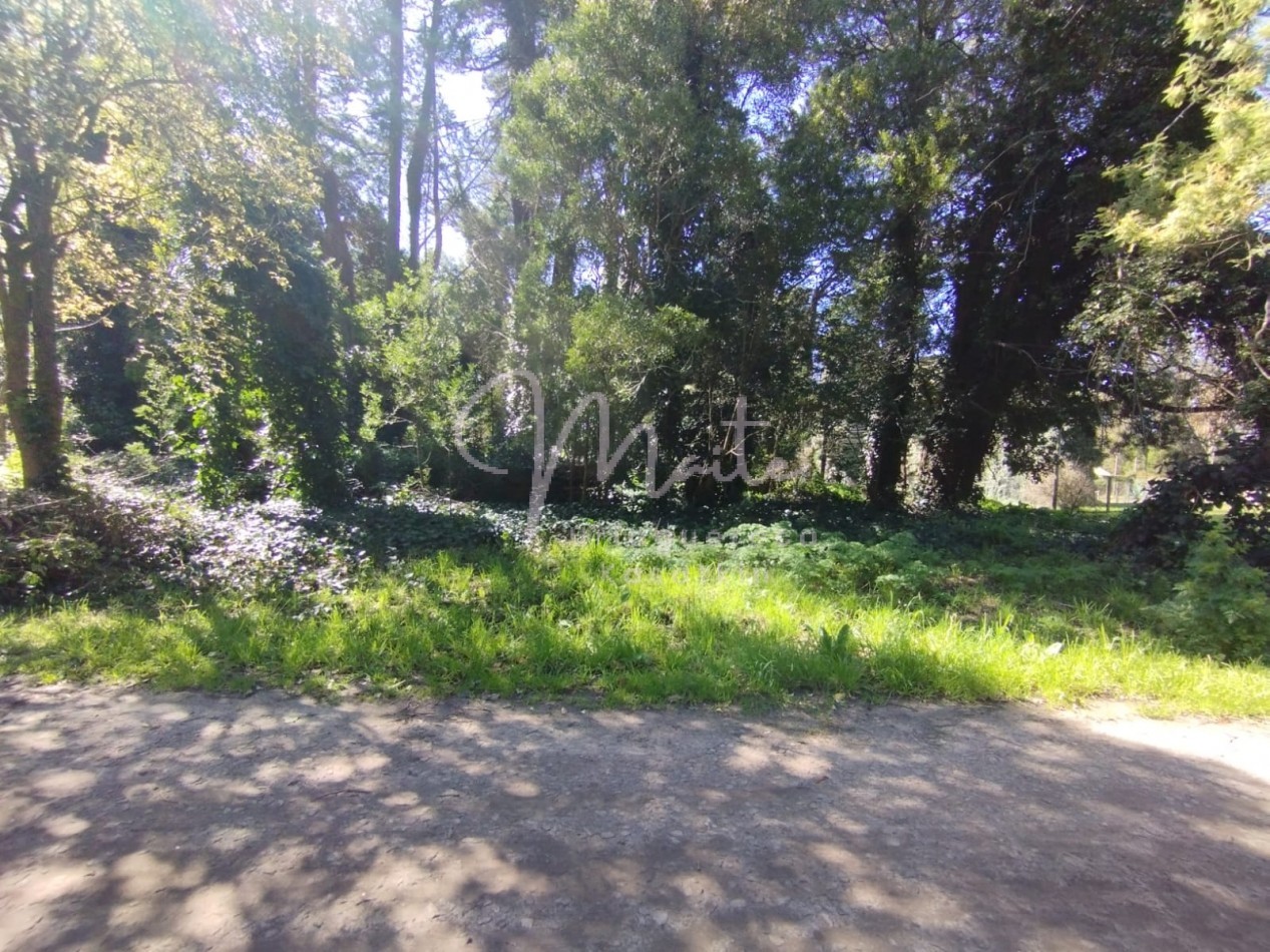 VENTA DOS LOTES CONTIGUOS BOSQUE PERALTA RAMOS 950M2 