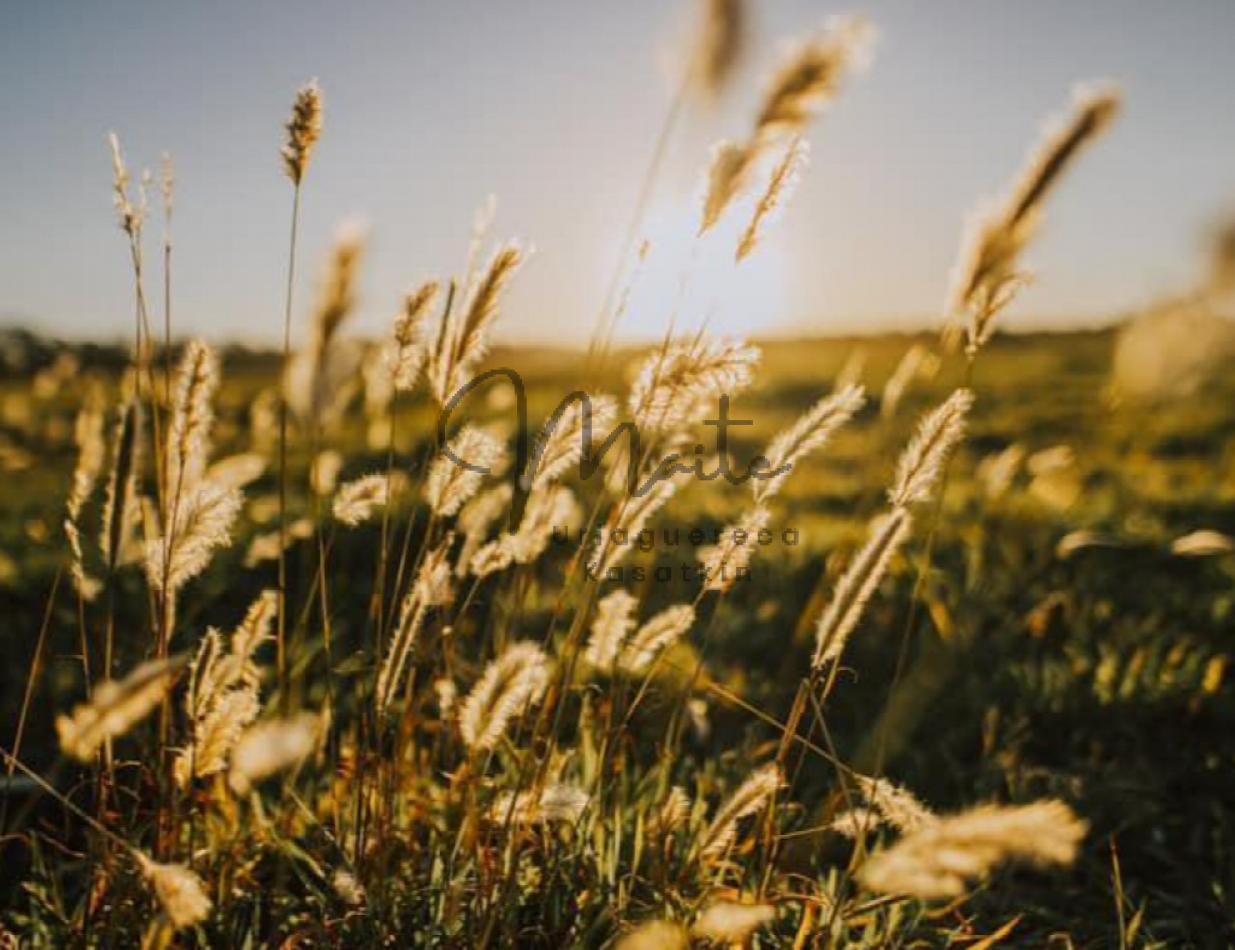 Lote Barrio Privado "Casonas del Haras" Acantilados Mar del Plata 