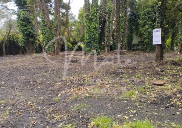 VENTA DOS LOTES CONTIGUOS BOSQUE PERALTA RAMOS 950M2 