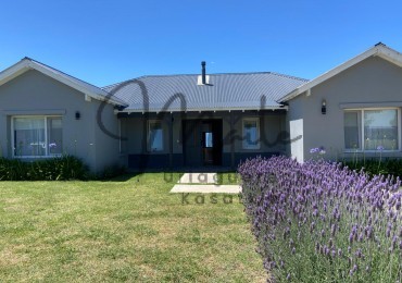 ALQUILER TEMPORARIO RUMENCO JOVEN 